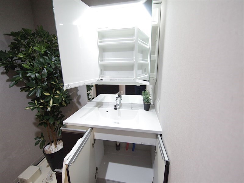 物件内観写真30　(脱衣所　独立洗面台（シャンプードレッサー付）収納スペース有)