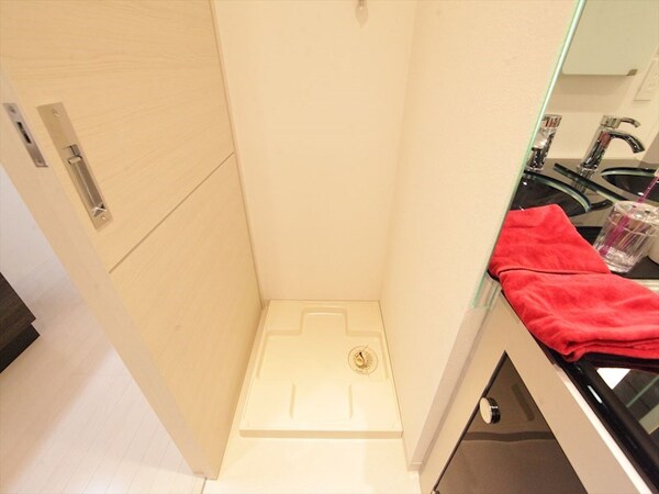 洗面所(脱衣所　室内洗濯機置き場)