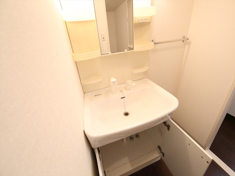 物件内観写真21　(脱衣所　独立洗面台（シャンプードレッサー付）収納スペース有)