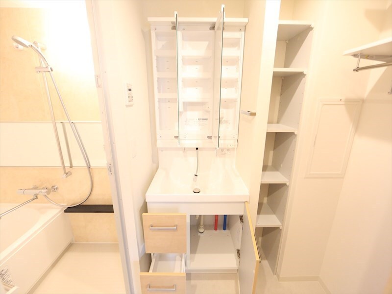 物件内観写真17　(脱衣所　独立洗面台（シャンプードレッサー付）収納スペース有)