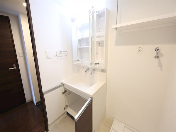 洗面所(脱衣所　独立洗面台（シャンプードレッサー付）収納スペース有)