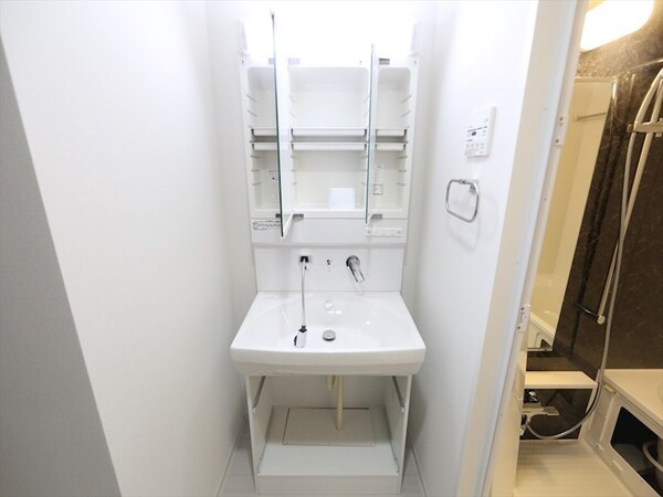 洗面所(脱衣所　独立洗面台（シャンプードレッサー付）収納スペース有)