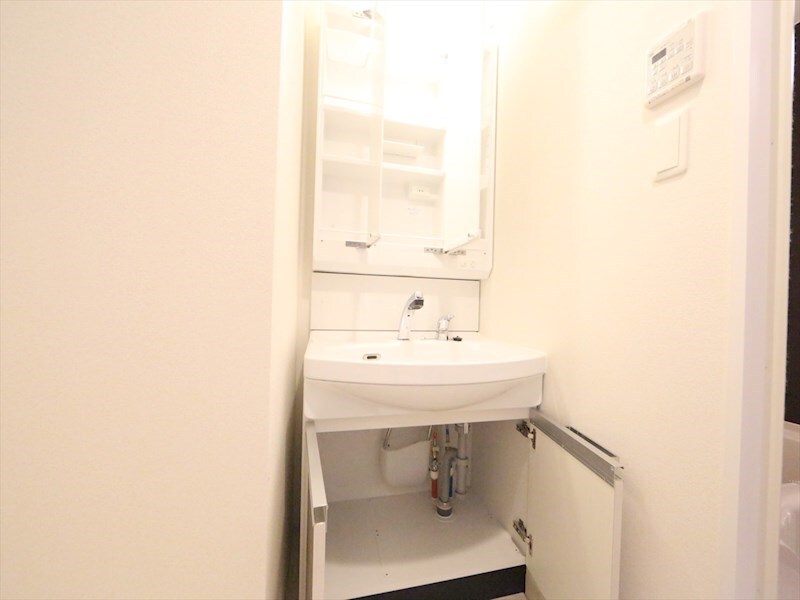 物件内観写真19　(脱衣所　独立洗面台（シャンプードレッサー付）収納スペース有)
