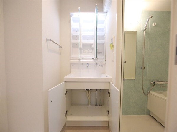 洗面所(脱衣所　独立洗面台（シャンプードレッサー付）収納スペース有)