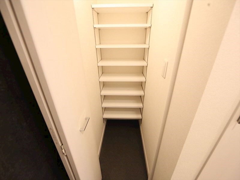 物件内観写真6　(玄関　シューズクローク付（収納充実してます）)