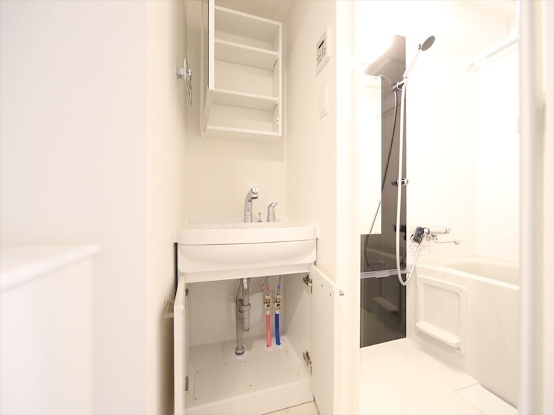 洗面所(脱衣所　独立洗面台（シャンプードレッサー付）収納スペース有)