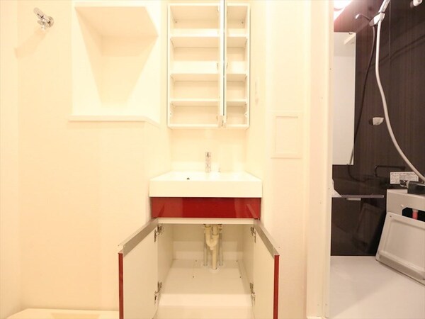 洗面所(脱衣所　独立洗面台（シャンプードレッサー付）収納スペース有)