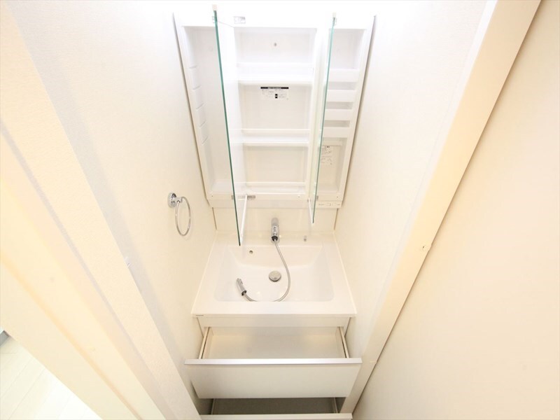 物件内観写真25　(脱衣所　独立洗面台（シャンプードレッサー付）収納スペース有)