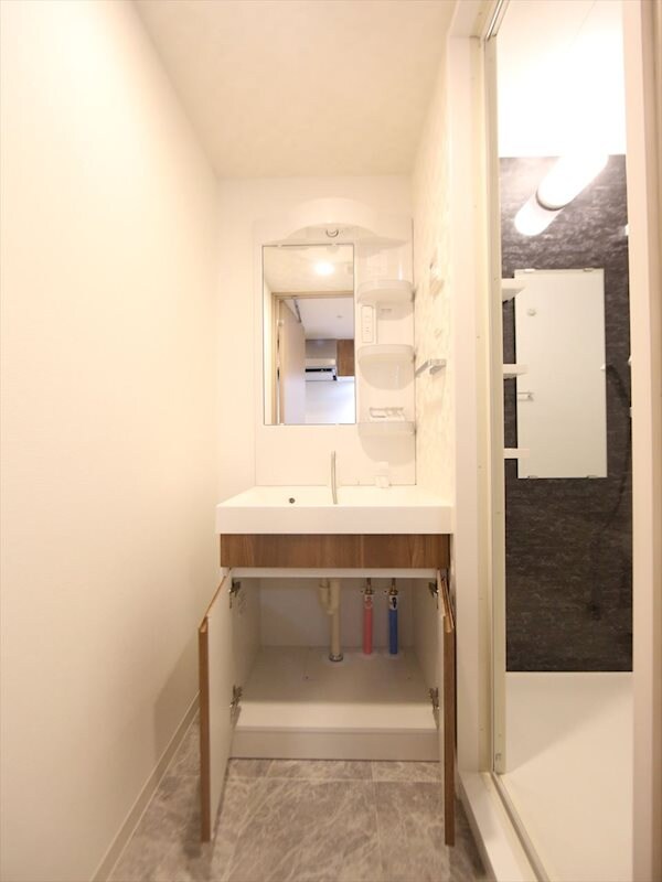 物件内観写真17　(脱衣所　独立洗面台（シャンプードレッサー付）収納スペース有)