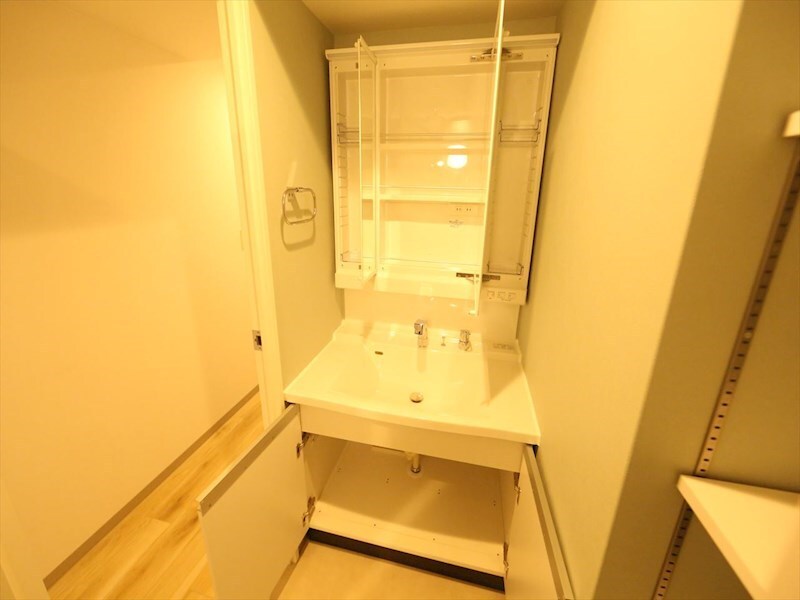 物件内観写真19　(脱衣所　独立洗面台（シャンプードレッサー付）収納スペース有)