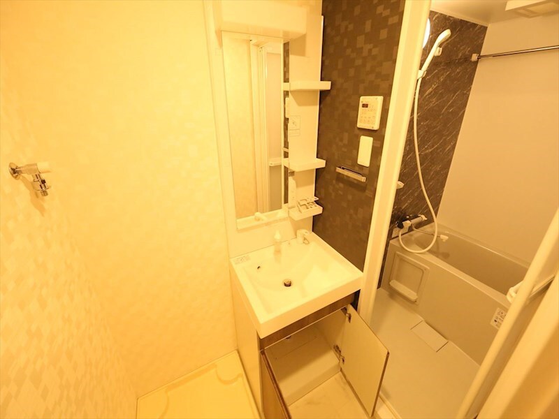 物件内観写真3　(脱衣所　独立洗面台（シャンプードレッサー付）収納スペース有)