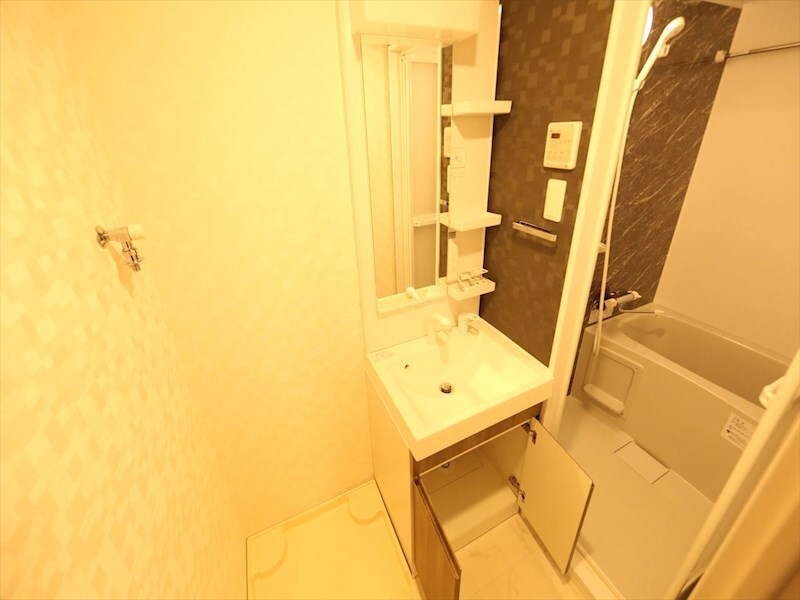 物件内観写真3　(脱衣所　独立洗面台（シャンプードレッサー付）収納スペース有)