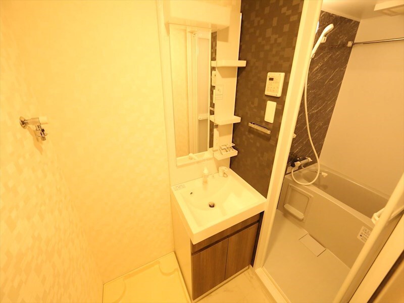 物件内観写真17　(脱衣所　独立洗面台（シャンプードレッサー付）収納スペース有)