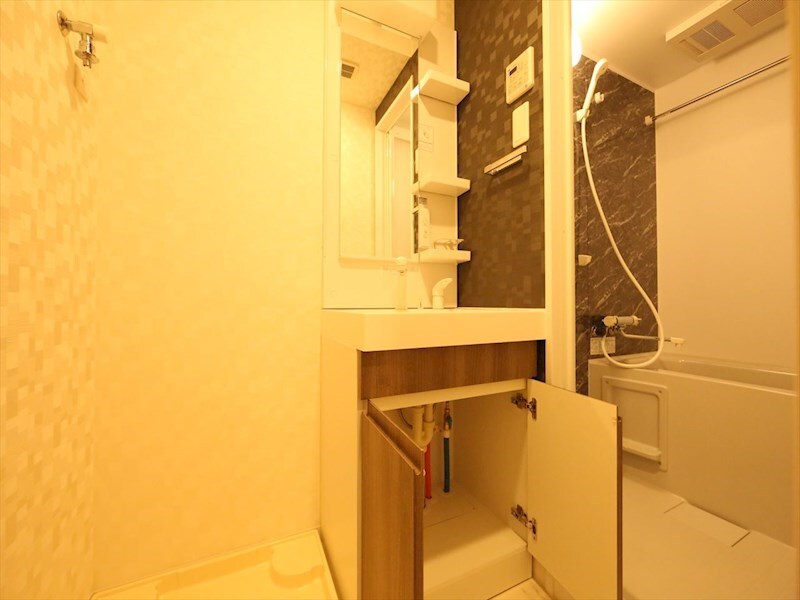 物件内観写真24　(脱衣所　独立洗面台（シャンプードレッサー付）収納スペース有)