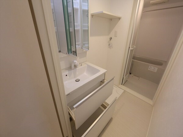 洗面所(脱衣所　独立洗面台（シャンプードレッサー付）同型写真)