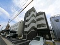エルヴィータ