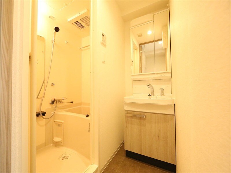 物件内観写真3　(脱衣所　独立洗面台（シャンプードレッサー付）収納スペース有)