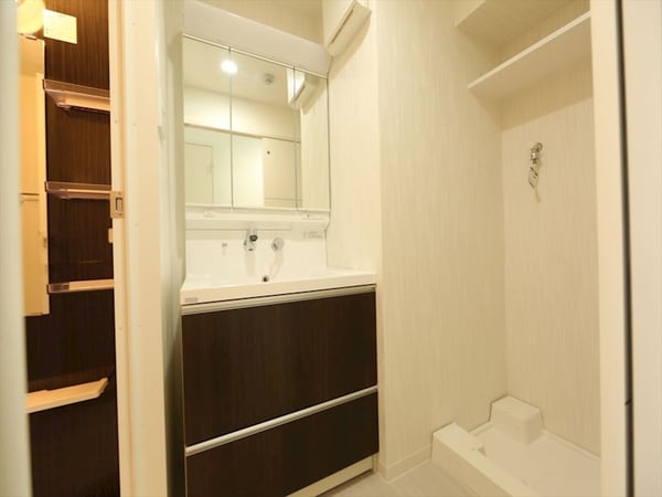 洗面所(脱衣所　独立洗面台（シャンプードレッサー付）収納スペース有)