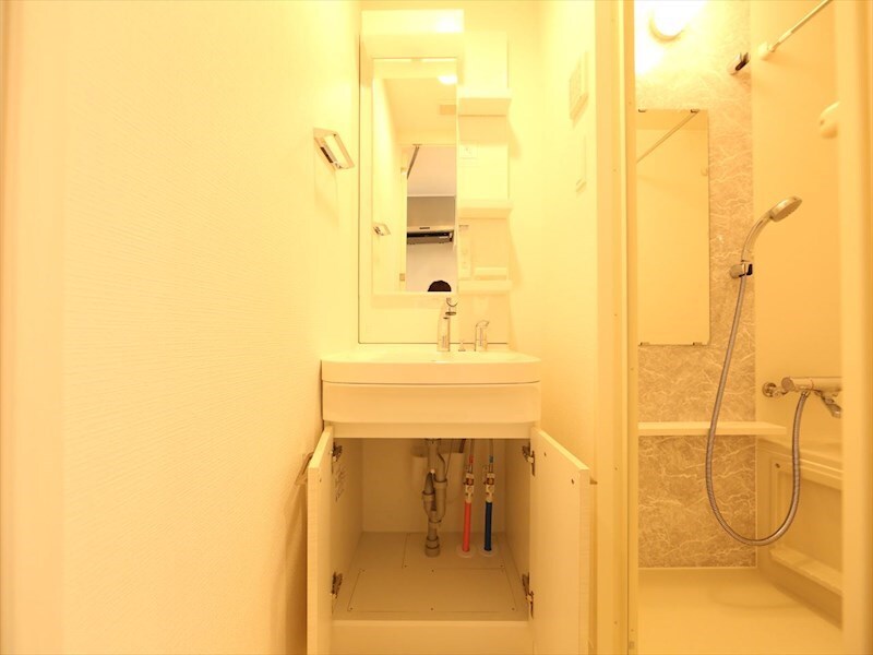 物件内観写真25　(脱衣所　独立洗面台（シャンプードレッサー付）収納スペース有)