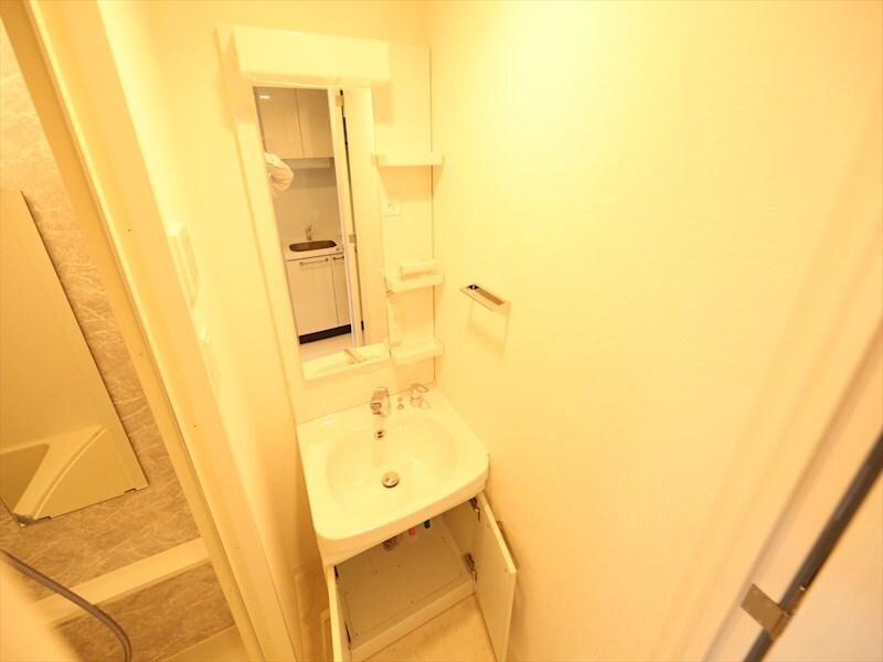 物件内観写真25　(脱衣所　独立洗面台（シャンプードレッサー付）収納スペース有)