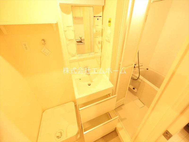 洗面所(脱衣所　独立洗面台（シャンプードレッサー付）収納スペース有)