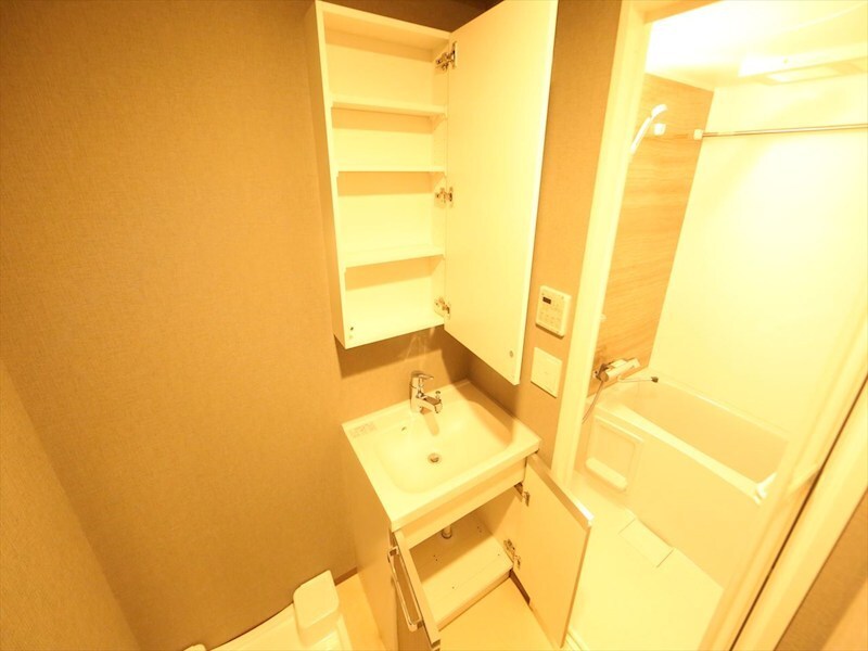 物件内観写真18　(脱衣所　独立洗面台（シャンプードレッサー付）収納スペース有)
