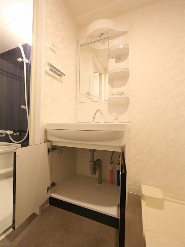 物件内観写真19　(脱衣所　独立洗面台（シャンプードレッサー付）収納スペース有)