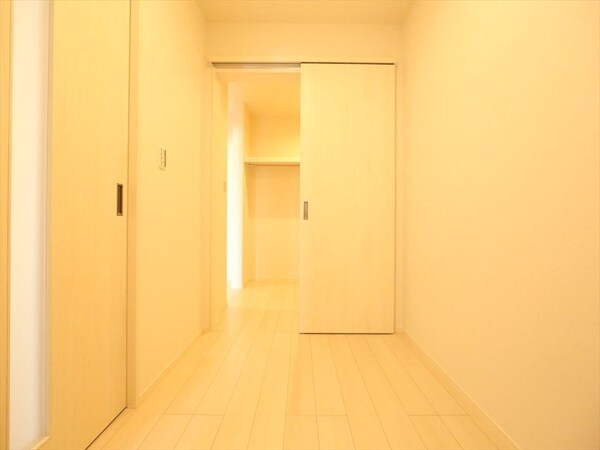 その他(洋室2.9帖　ウォークインクローゼット付　同仕様写真)