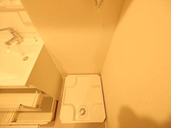 洗面所(脱衣所　室内洗濯機置き場　同仕様写真)