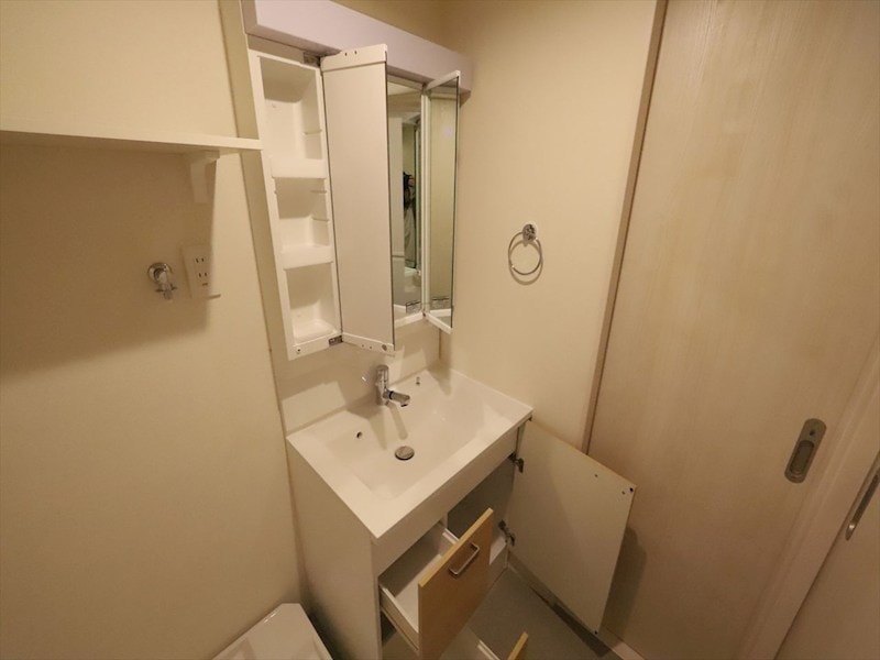 物件内観写真19　(脱衣所　独立洗面台（シャンプードレッサー付）　同仕様写真)