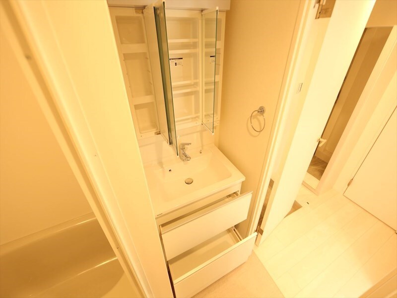 物件内観写真19　(脱衣所　独立洗面台（シャンプードレッサー付）　同仕様写真)