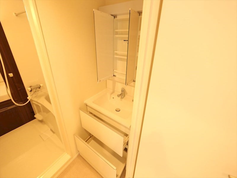 物件内観写真26　(脱衣所　独立洗面台（シャンプードレッサー付）　同仕様写真)