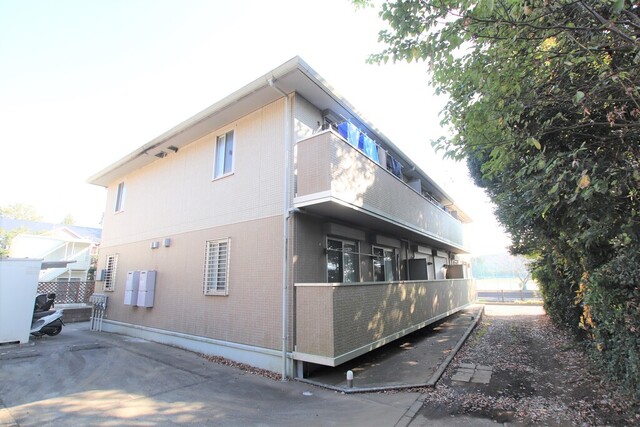 セントルナージュ