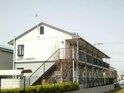 シャイニーSHIBATA