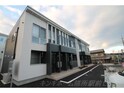 Bブロッサム