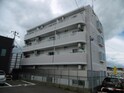 グリシーナフロール