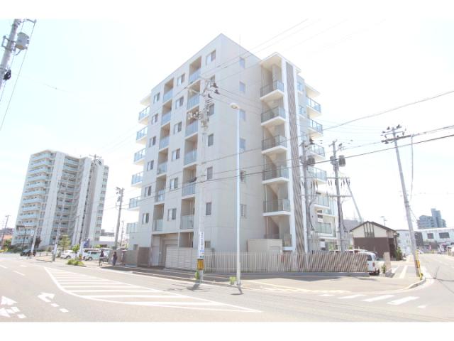 brandz tomizawa
