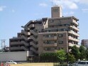 ライオンズマンション泉中央第２