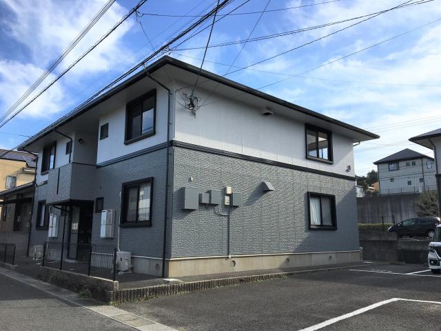 ハイカムールはたぐちＤ