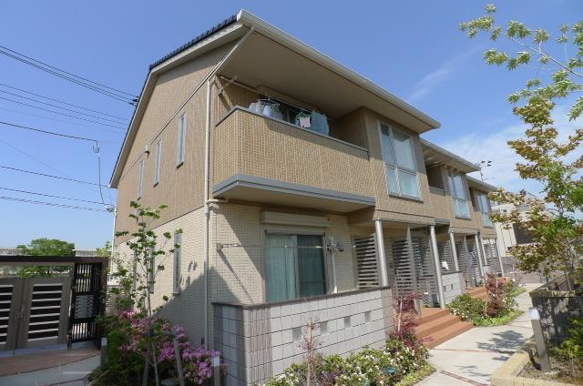 シエルツリー２