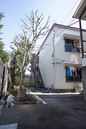 ライムヒルズ外観写真
