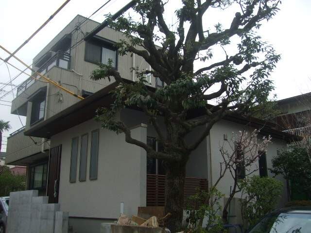 松原６丁目平屋の賃貸物件情報 東京都世田谷区 貸家 Chintai 賃貸マンション アパート 部屋探し情報サイト