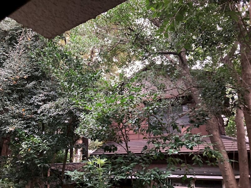 物件内観写真14　(眺望)