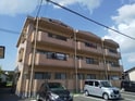 サニーオオタ
