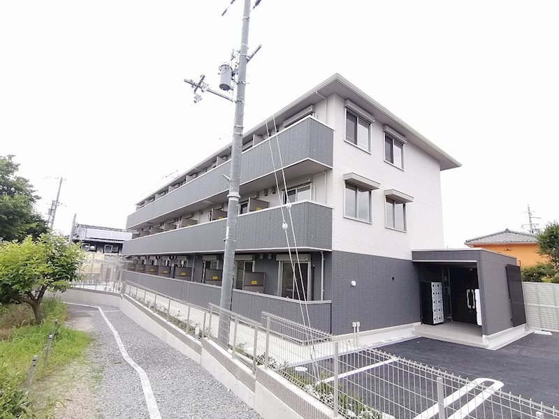 D-room　M-five