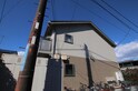 おおしまはいつ