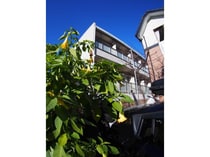 東武野田線<アーバンパークライン> 岩槻駅 2階建 築8年の外観写真