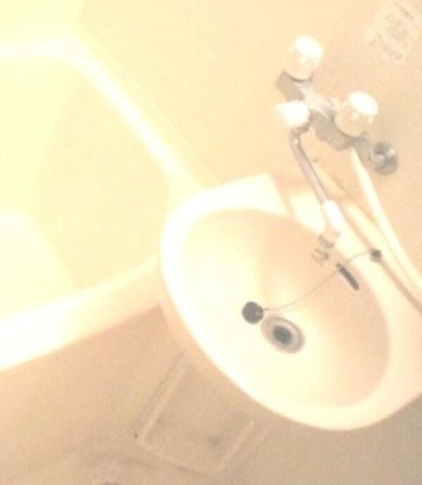 洗面・脱衣所(洗面ボウル)