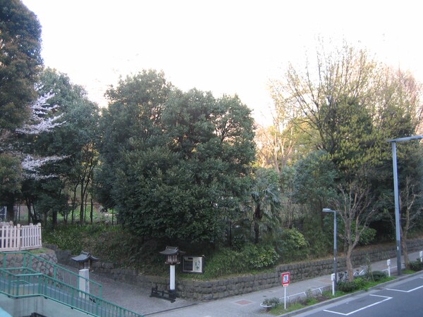 周辺環境(区立新宿中央公園 993m)