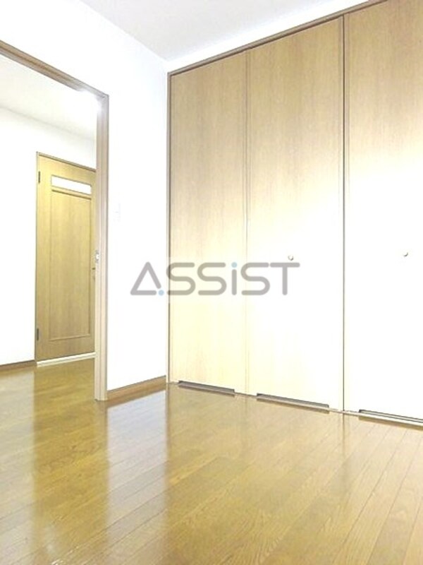 収納(室内写真：設備同仕様の別号室です)